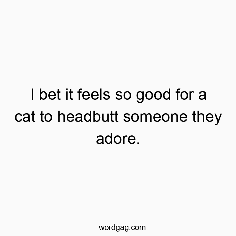 I bet it feels so good for a cat to headbutt someone they adore.