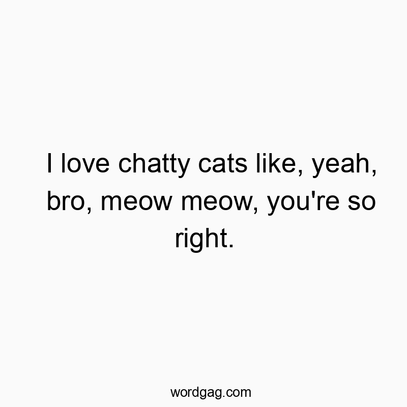 145 Funny cat quotes - I love chatty cats like, yeah, bro, meow meow, you’re so right.