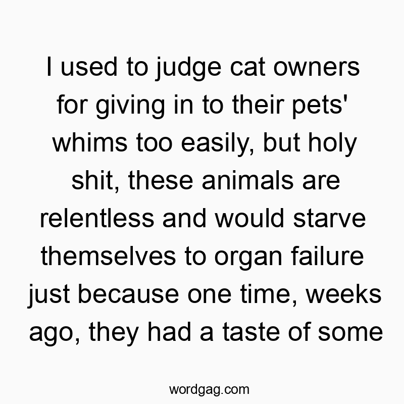 I used to judge cat owners for giving in to their pets’ whims too easily, but holy shit, these animals are relentless and would starve themselves to organ failure just because one time, weeks ago, they had a taste of some ‘better’ food.
