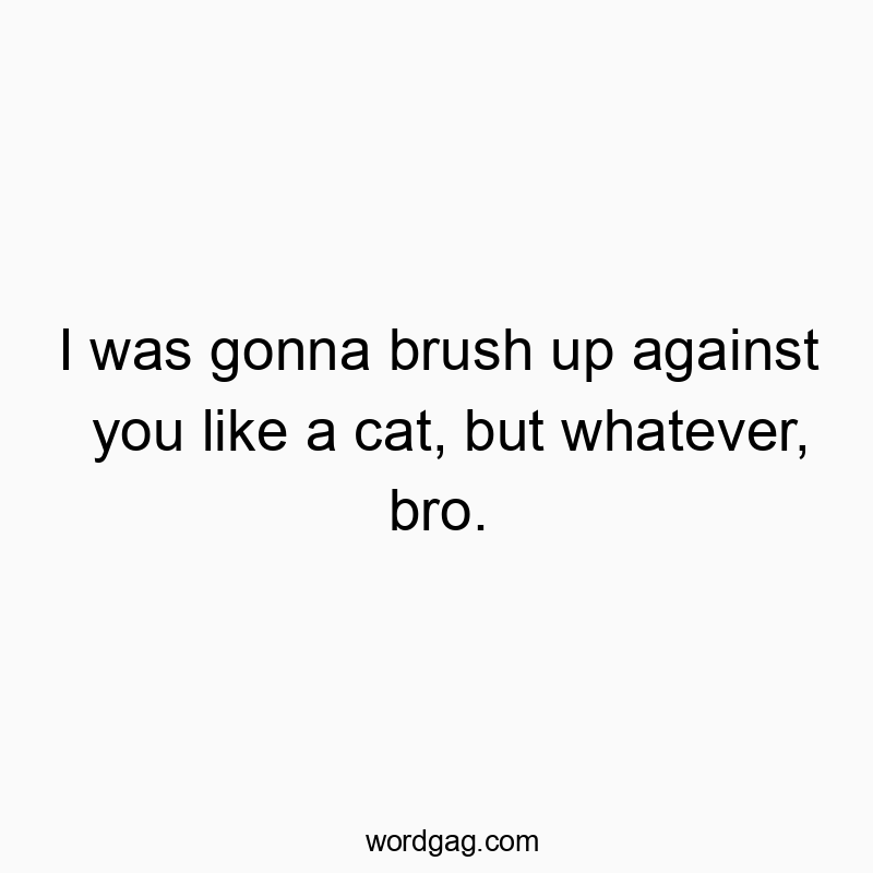 I was gonna brush up against you like a cat, but whatever, bro.