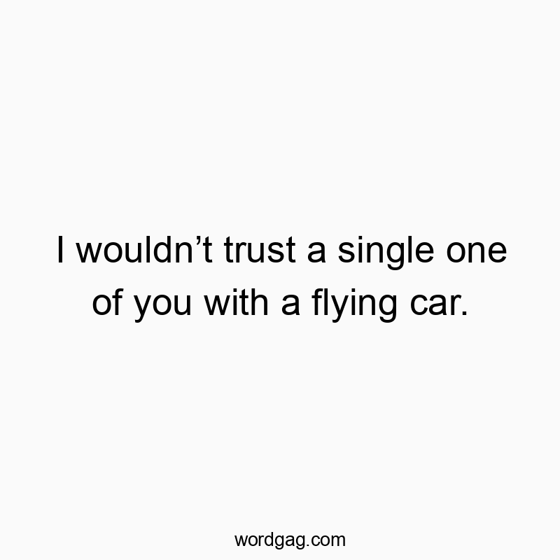 I wouldnโt trust a single one of you with a flying car.