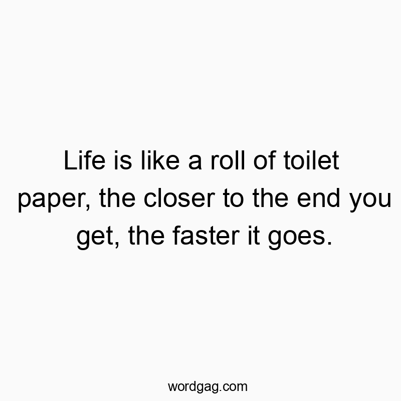Life is like a roll of toilet paper, the closer to the end you get, the faster it goes.
