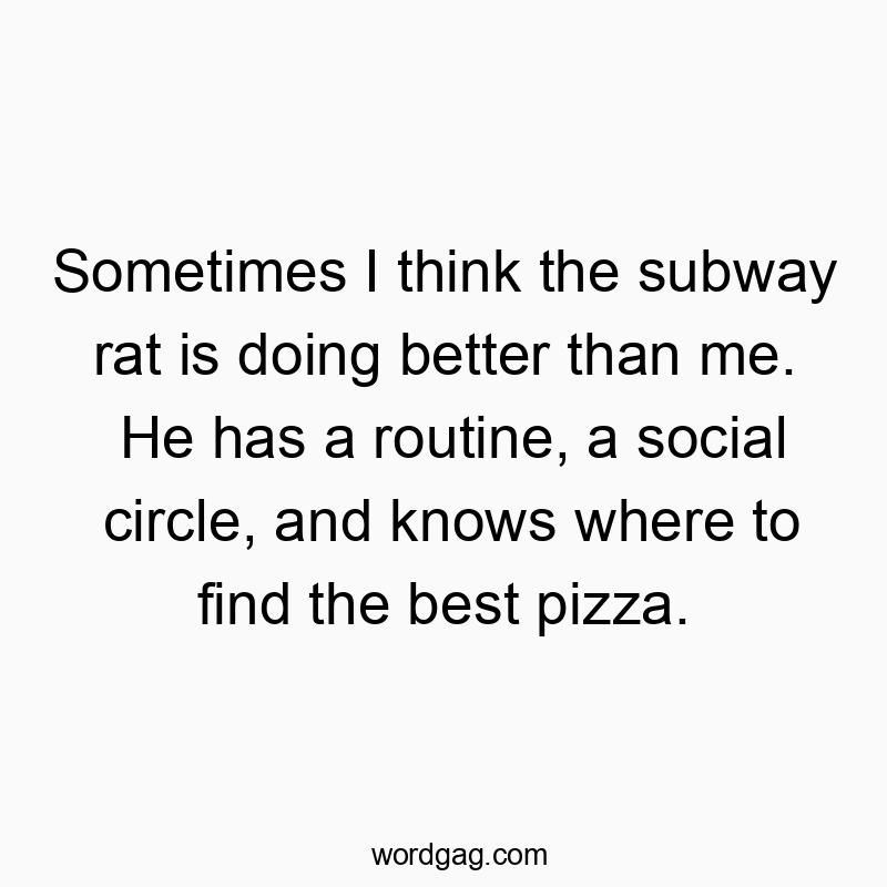 Sometimes I think the subway rat is doing better than me. He has a routine, a social circle, and knows where to find the best pizza.