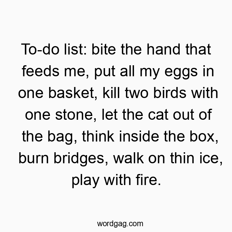 To-do list: bite the hand that feeds me, put all my eggs in one basket, kill two birds with one stone, let the cat out of the bag, think inside the box, burn bridges, walk on thin ice, play with fire.