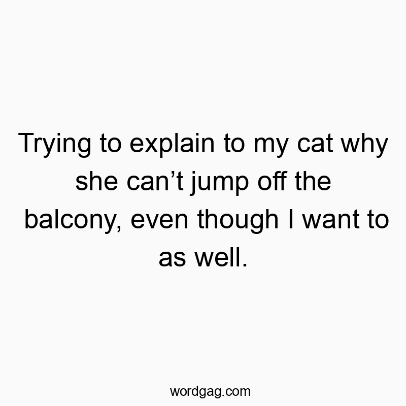Trying to explain to my cat why she canโt jump off the balcony, even though I want to as well.