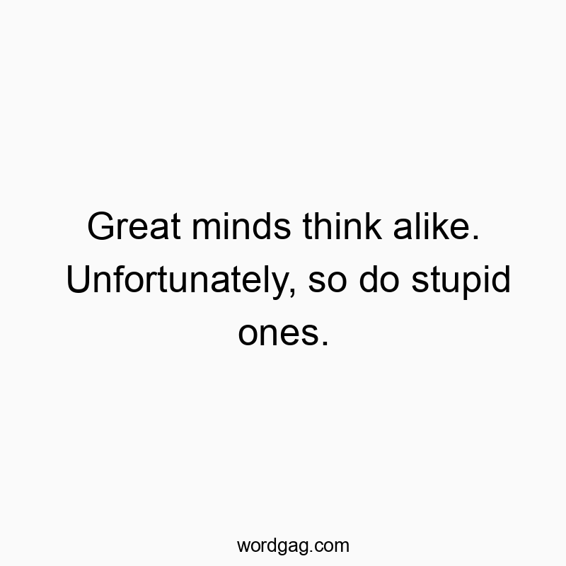 91 Funny stupid quotes - Great minds think alike. Unfortunately, so do stupid ones.