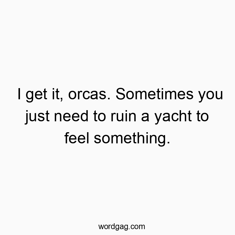 Funny destruction quotes - I get it, orcas. Sometimes you just need to ruin a yacht to feel something.