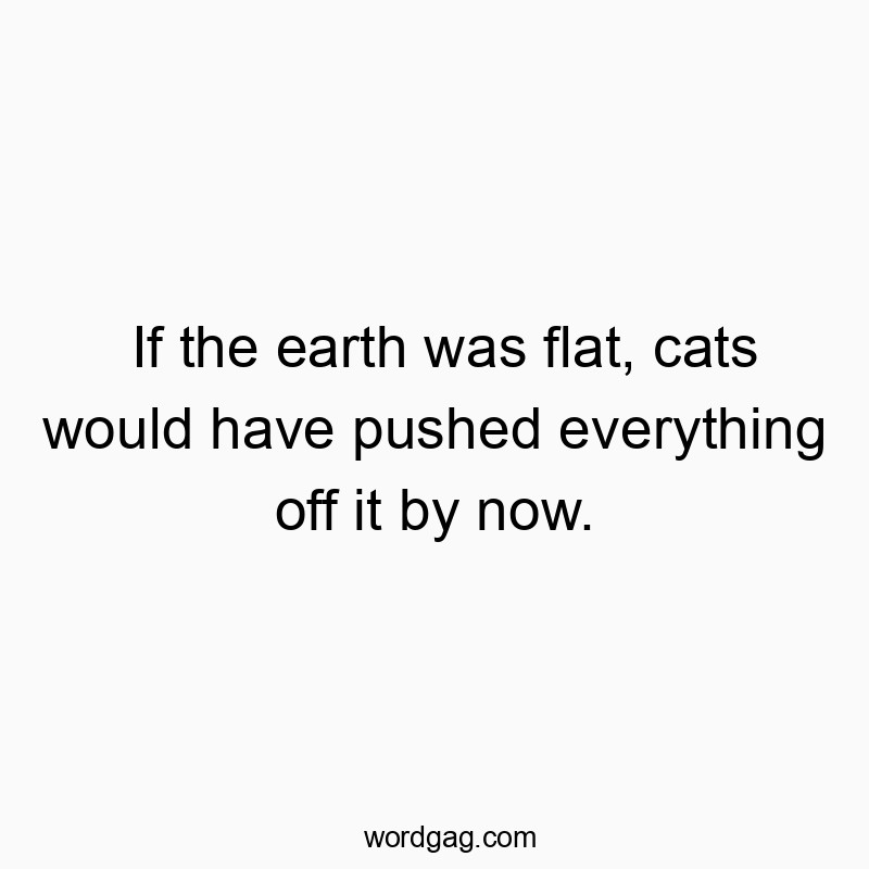 If the earth was flat, cats would have pushed everything off it by now.