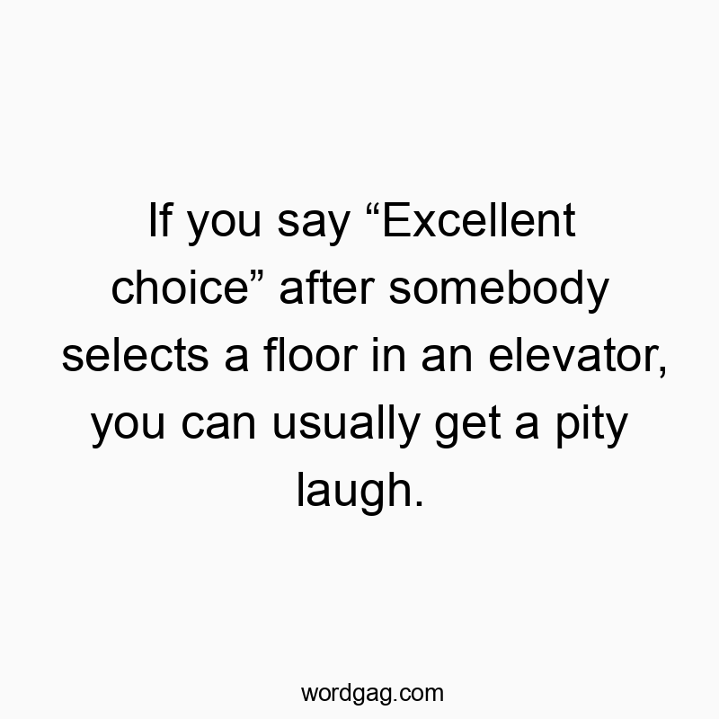 If you say βExcellent choiceβ after somebody selects a floor in an elevator, you can usually get a pity laugh.