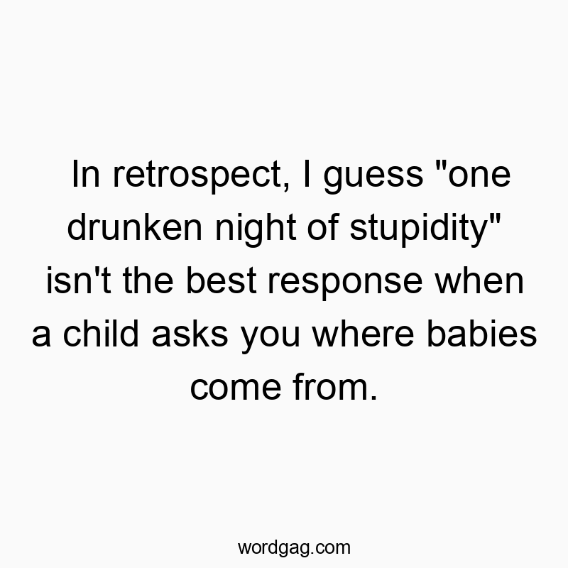 In retrospect, I guess “one drunken night of stupidity” isn’t the best response when a child asks you where babies come from.