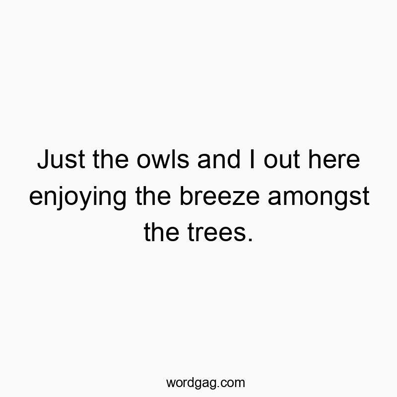 Just the owls and I out here enjoying the breeze amongst the trees.