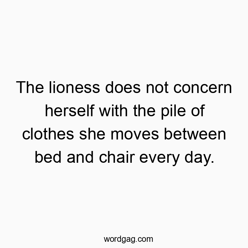 Funny daily routine quotes - The lioness does not concern herself with the pile of clothes she moves between bed and chair every day.