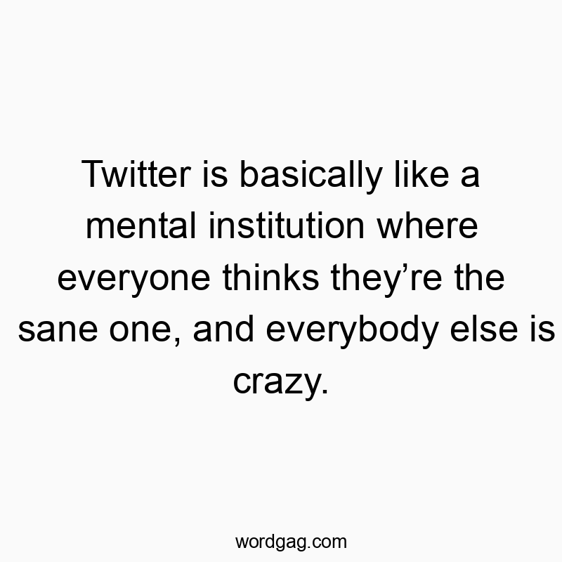 Twitter is basically like a mental institution where everyone thinks they’re the sane one, and everybody else is crazy.