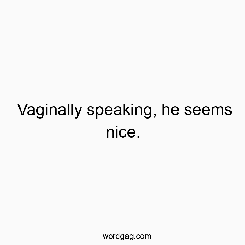 448 Funny dating quotes - Vaginally speaking, he seems nice.