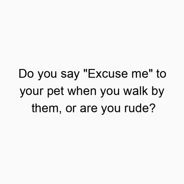 Funny pet owner quotes - Do you say “Excuse me” to your pet when you walk by them, or are you rude?