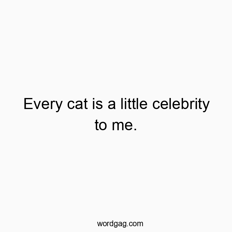 Every cat is a little celebrity to me.