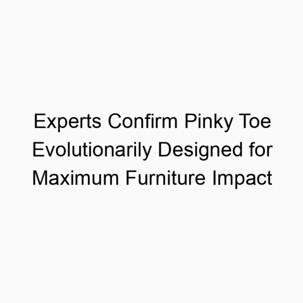 Experts Confirm Pinky Toe Evolutionarily Designed for Maximum Furniture Impact