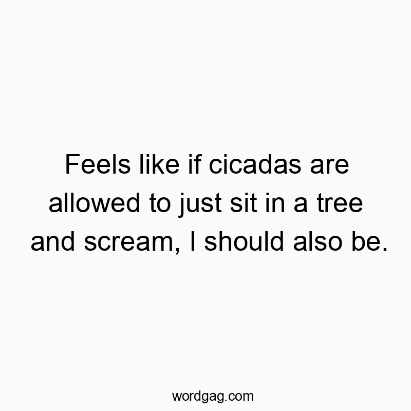 Feels like if cicadas are allowed to just sit in a tree and scream, I should also be.