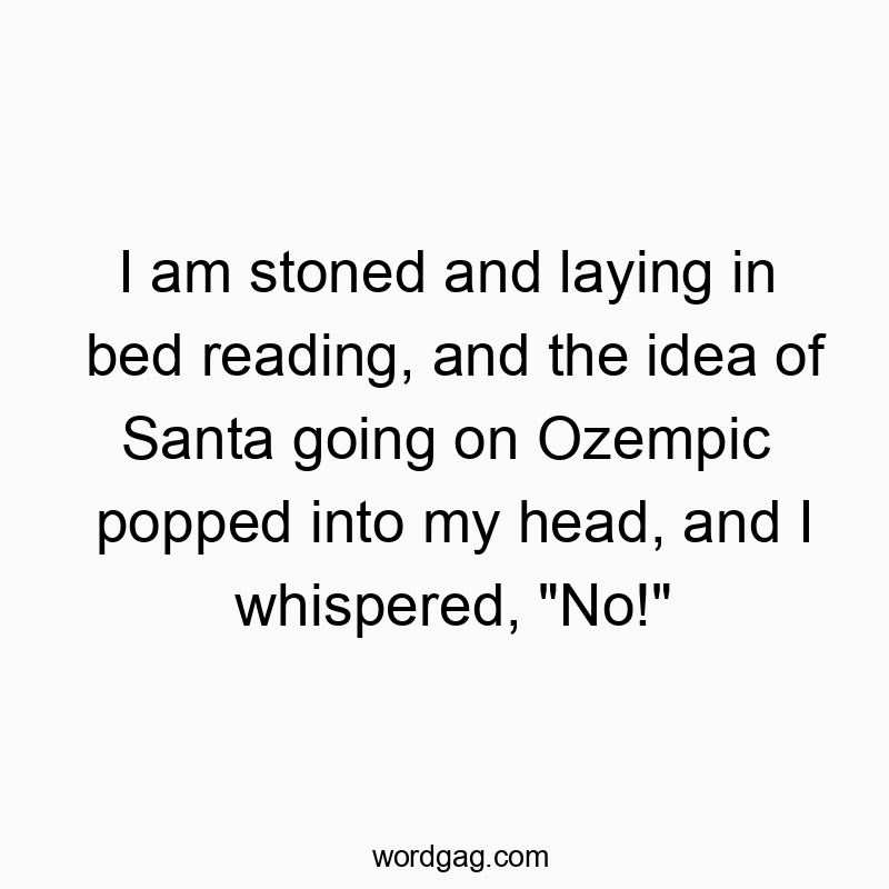 I am stoned and laying in bed reading, and the idea of Santa going on Ozempic popped into my head, and I whispered, “No!”