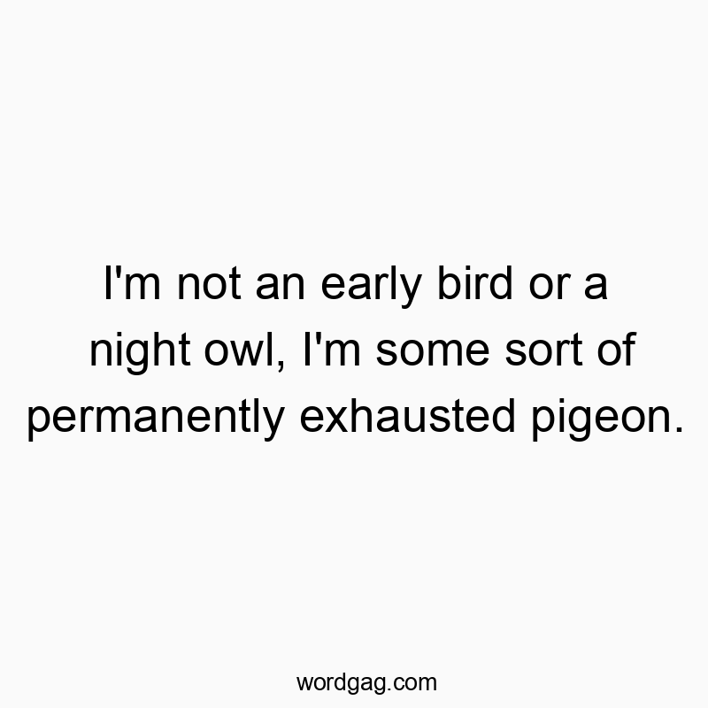 I’m not an early bird or a night owl, I’m some sort of permanently exhausted pigeon.