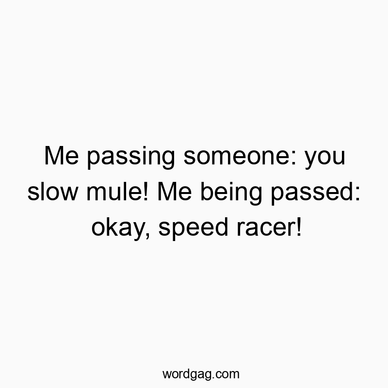 46 Funny insult quotes - Me passing someone: you slow mule! Me being passed: okay, s…
