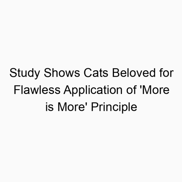Study Shows Cats Beloved for Flawless Application of ‘More is More’ Principle