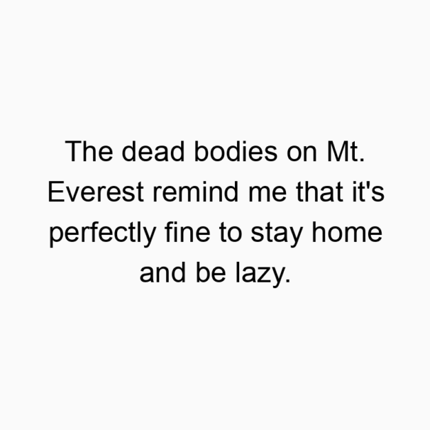 Funny dead body quotes - The dead bodies on Mt. Everest remind me that it’s perfectly fine to stay home and be lazy.