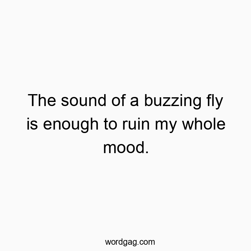 The sound of a buzzing fly is enough to ruin my whole mood.