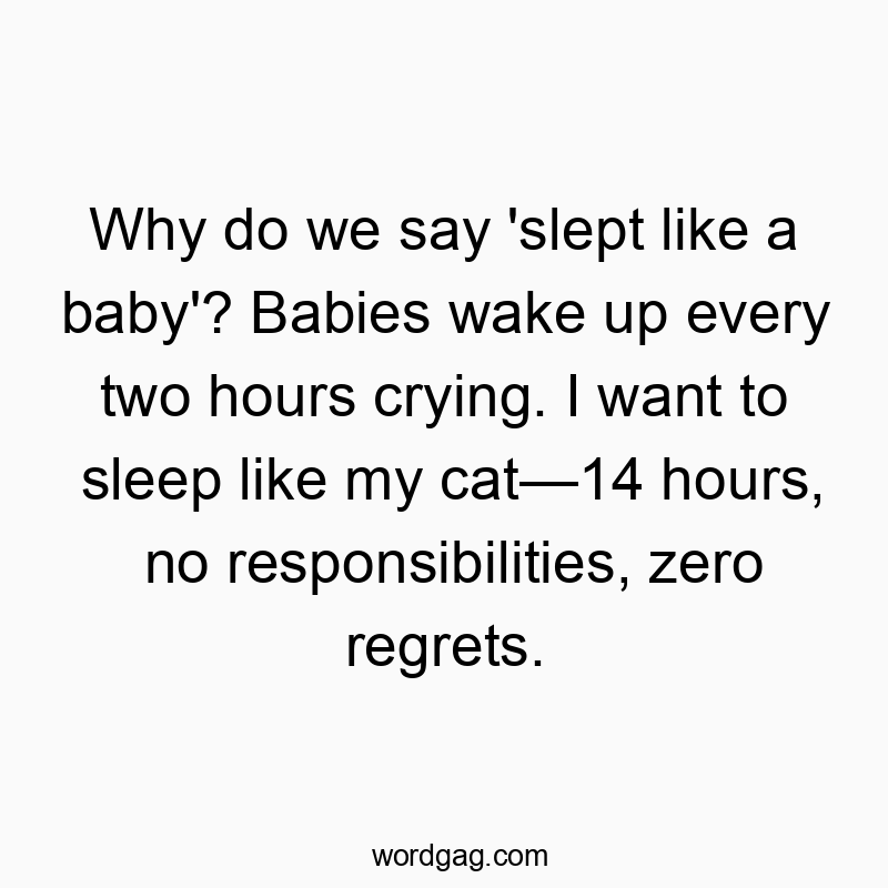 Playful quote about wishing for endless, carefree sleep like a relaxed cat.