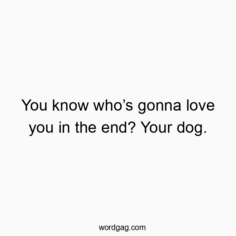 Funny know quotes - You know who’s gonna love you in the end? Your dog.