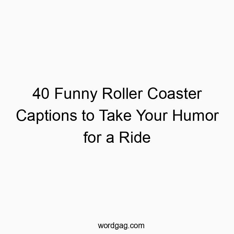 40 Funny Roller Coaster Captions to Take Your Humor for a Ride