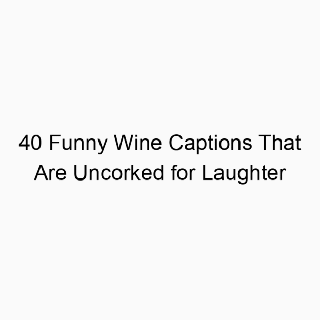 40 Funny Wine Captions That Are Uncorked for Laughter