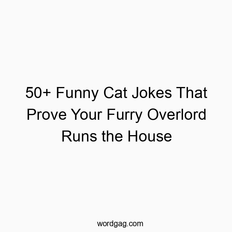 50+ Funny Cat Jokes That Prove Your Furry Overlord Runs the House
