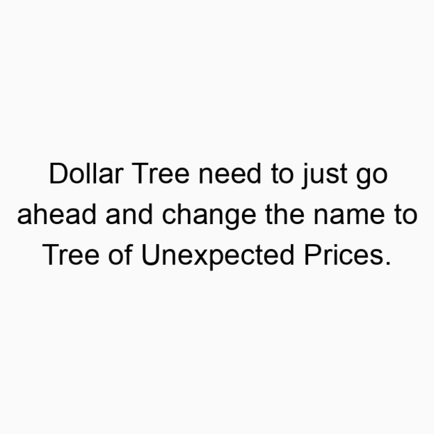 Dollar Tree need to just go ahead and change the name to Tree of Unexpected Prices.