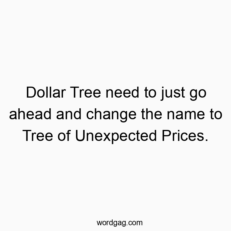 Dollar Tree need to just go ahead and change the name to Tree of Unexpected Prices.