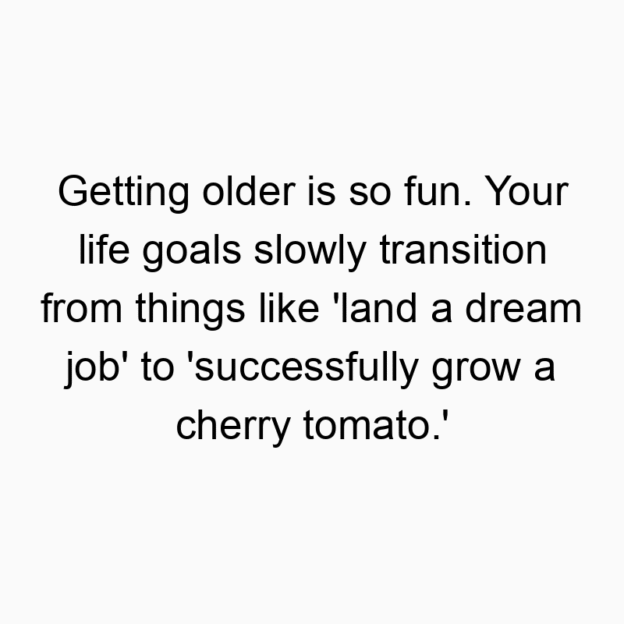 Getting older is so fun. Your life goals slowly transition from things like ‘land a dream job’ to ‘successfully grow a cherry tomato.’