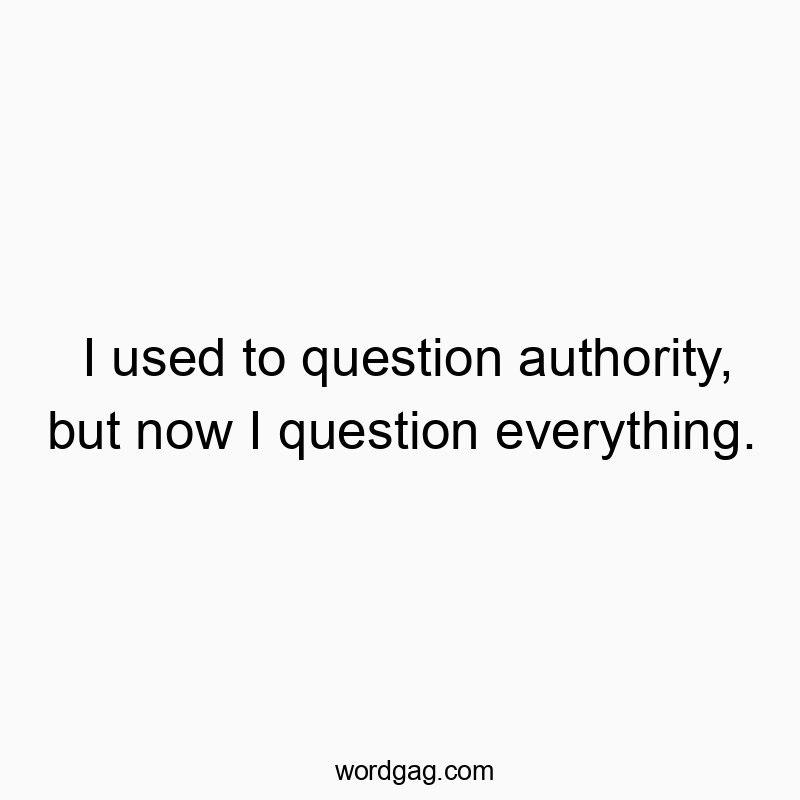 Funny humor quotes - I used to question authority, but now I question everything.