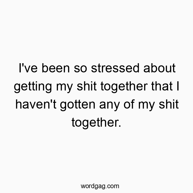 I’ve been so stressed about getting my shit together that I haven’t gotten any of my shit together.