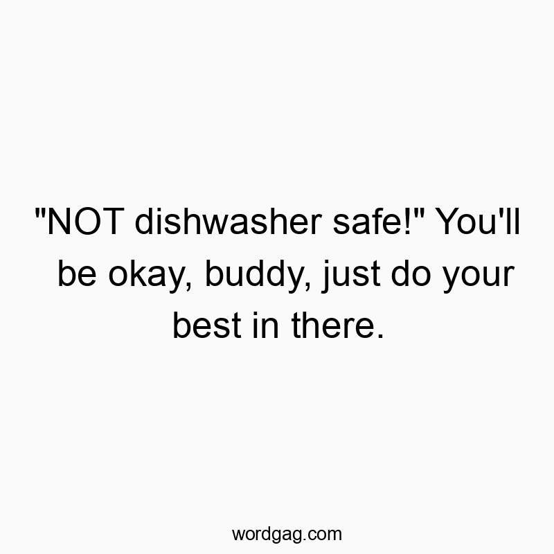 Funny just quotes - “NOT dishwasher safe!” You’ll be okay, buddy, just do your best in there.