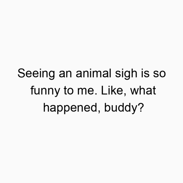 Seeing an animal sigh is so funny to me. Like, what happened, buddy?