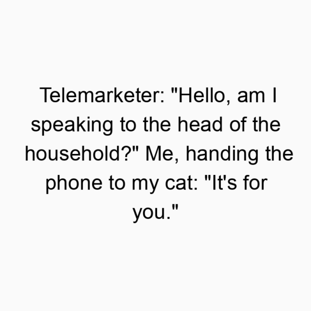 300 Funny conversation quotes - Telemarketer: “Hello, am I speaking to the head of the household?” Me, handing the phone to my cat: “It’s for you.”