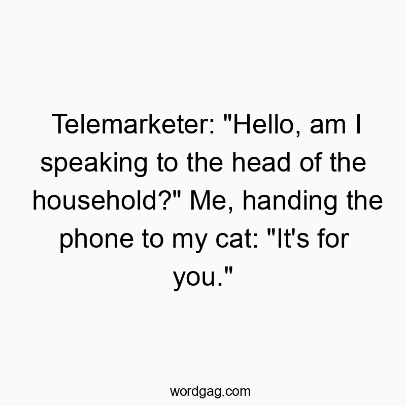 Telemarketer: “Hello, am I speaking to the head of the household?” Me, handing the phone to my cat: “It’s for you.”