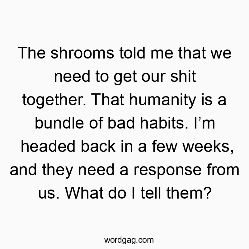 Funny communication quotes - The shrooms told me that we need to get our shit together. That humanity is a bundle of bad habits. I’m headed back in a few weeks, and they need a response from us. What do I tell them?
