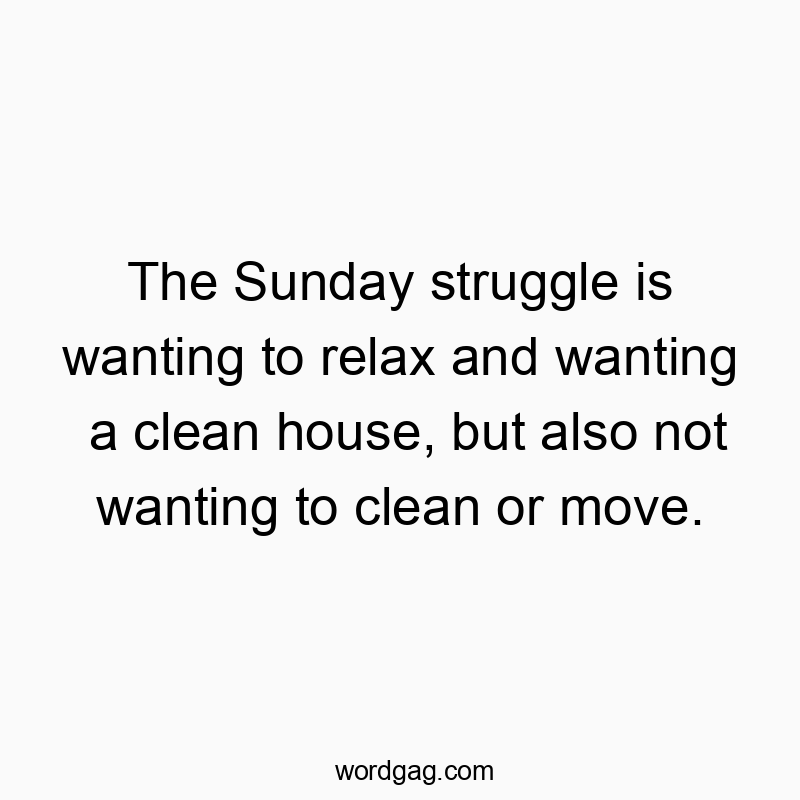 The Sunday struggle is wanting to relax and wanting a clean house, but also not wanting to clean or move.