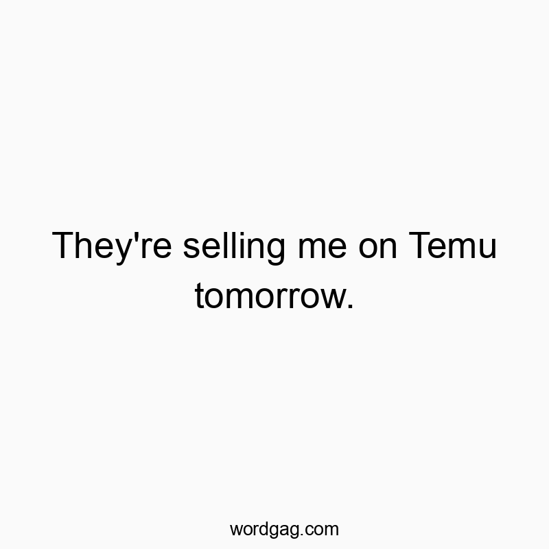 Funny joke quotes - They’re selling me on Temu tomorrow.
