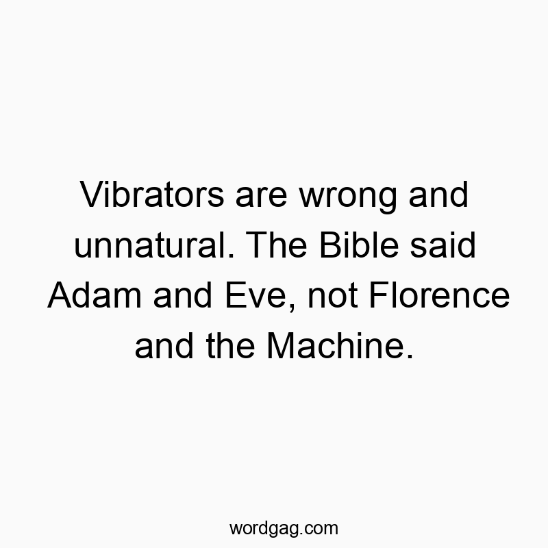 Vibrators are wrong and unnatural. The Bible said Adam and Eve, not Florence and the Machine.
