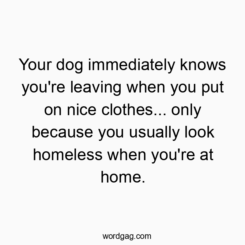 Your dog immediately knows you’re leaving when you put on nice clothes… only because you usually look homeless when you’re at home.