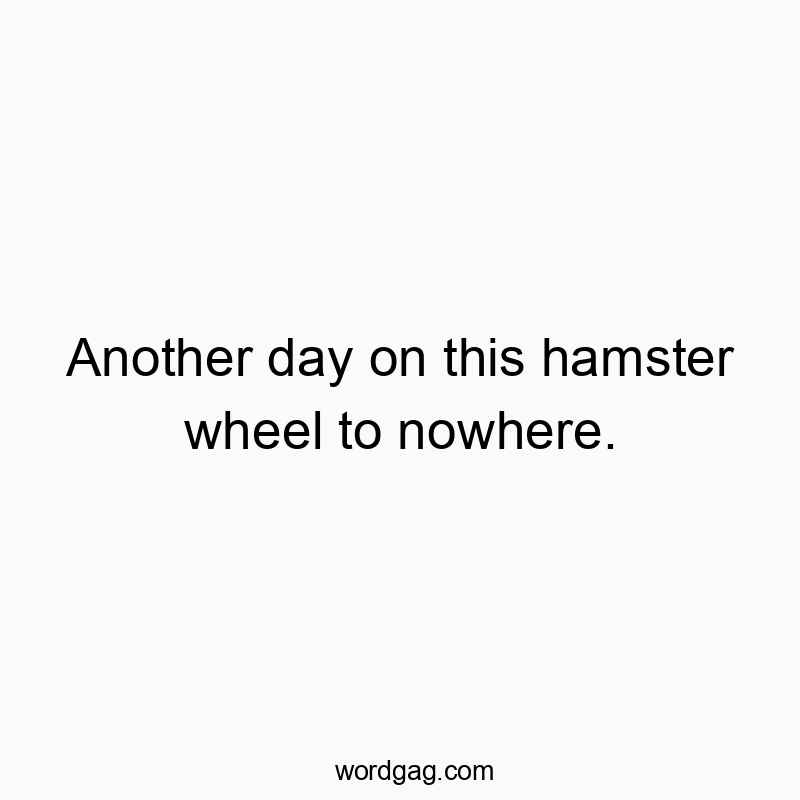 Another day on this hamster wheel to nowhere.