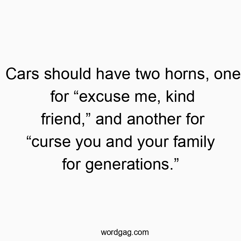 Cars should have two horns, one for “excuse me, kind friend,” and another for “curse you and your family for generations.”