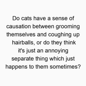 Do cats have a sense of causation between grooming themselves and coughing up hairballs, or do they think it’s just an annoying separate thing which just happens to them sometimes?